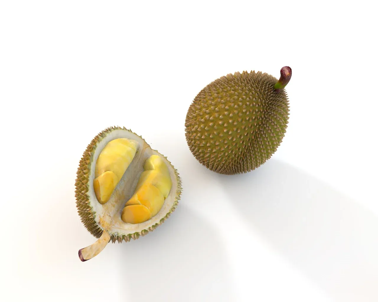 Durian Fruit 3d model