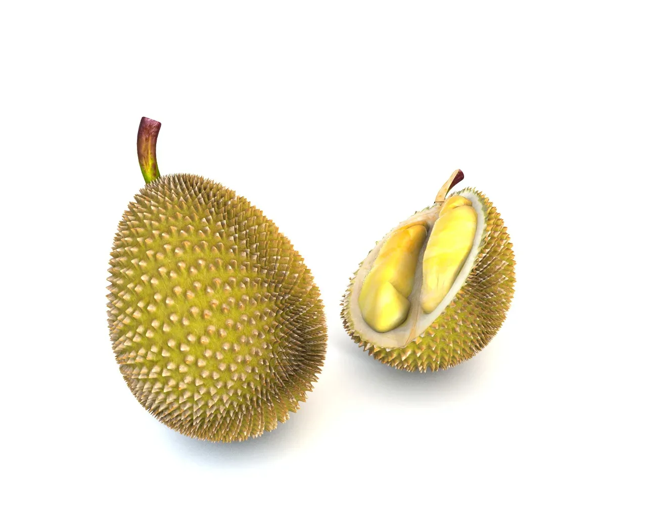 Durian Fruit 3d model