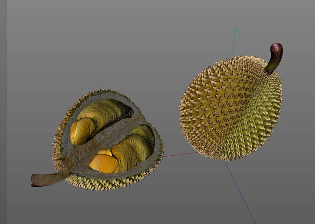 Durian Fruit 3d model