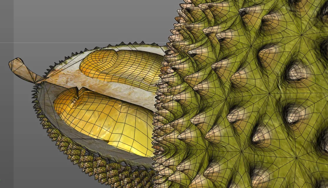 Durian Fruit 3d model