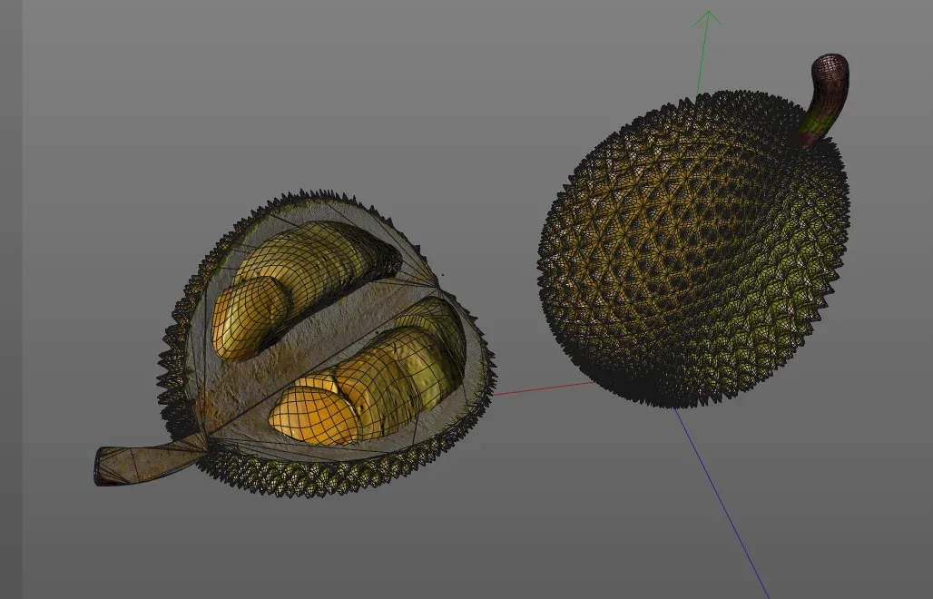 Durian Fruit 3d model