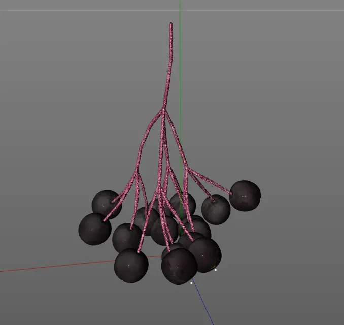 Elderberry 3d model