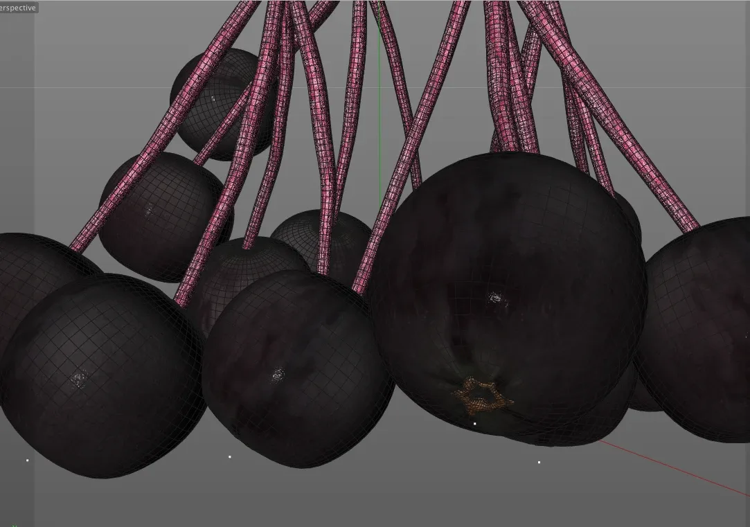 Elderberry 3d model