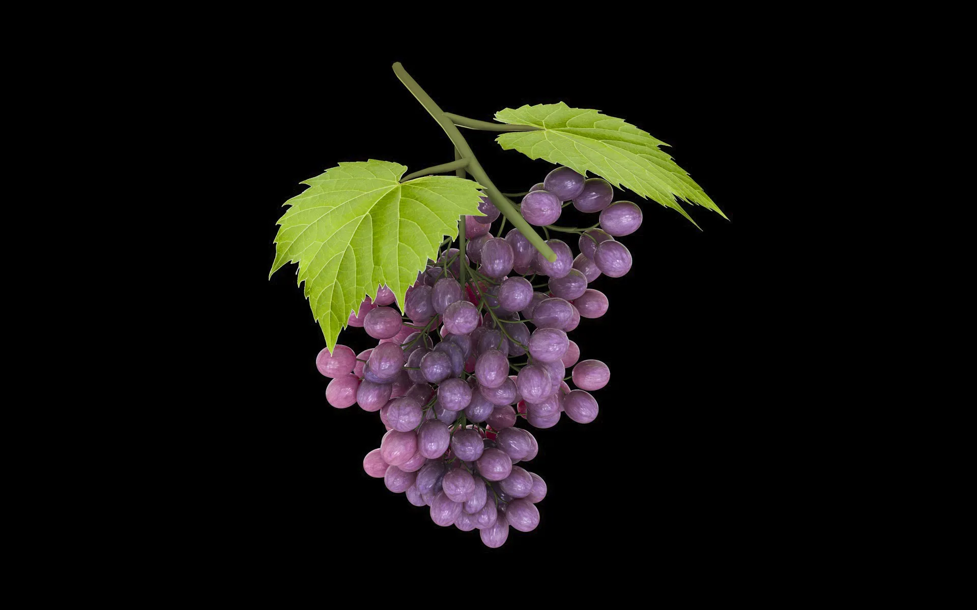 Grapes 3d model