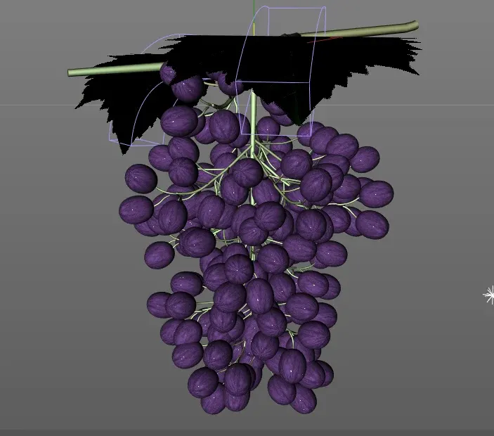 Grapes 3d model