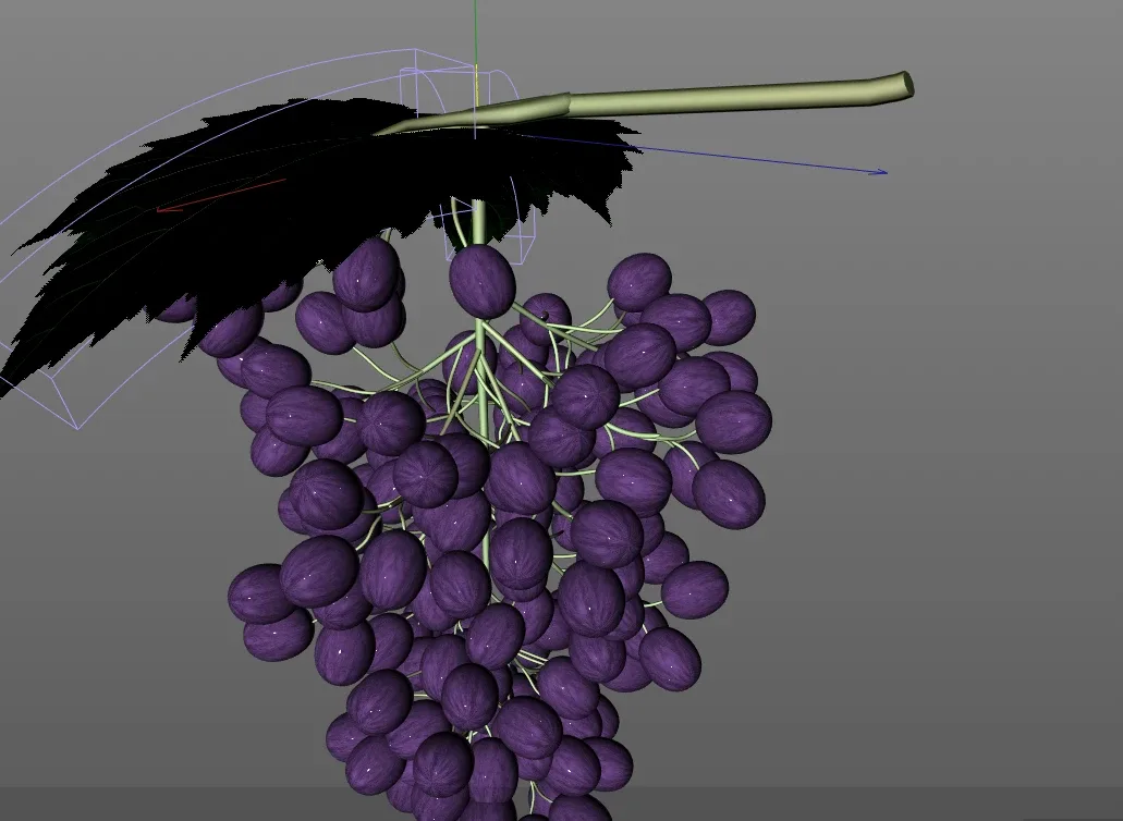 Grapes 3d model