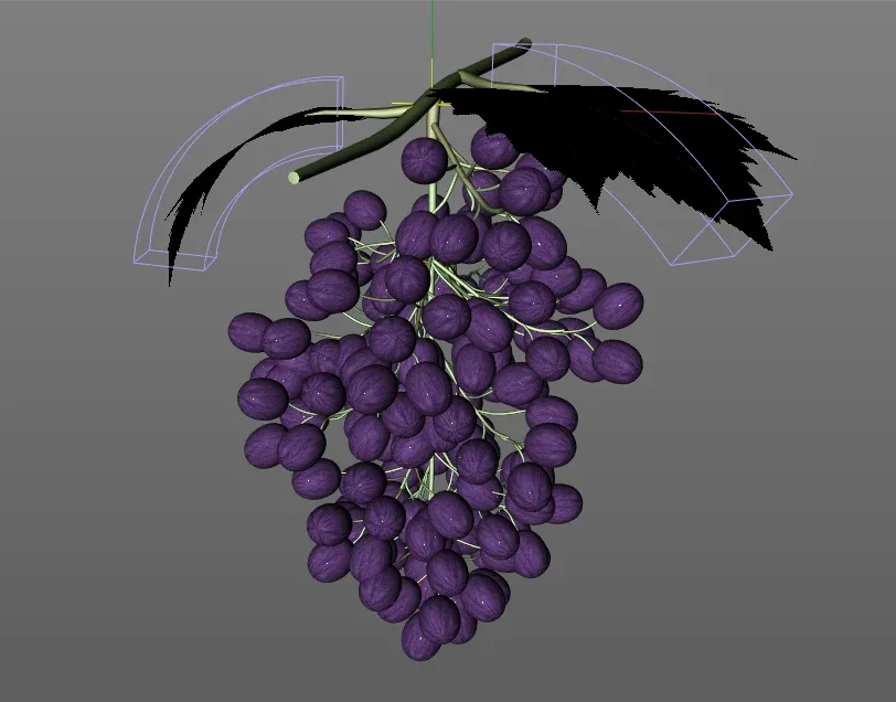 Grapes 3d model