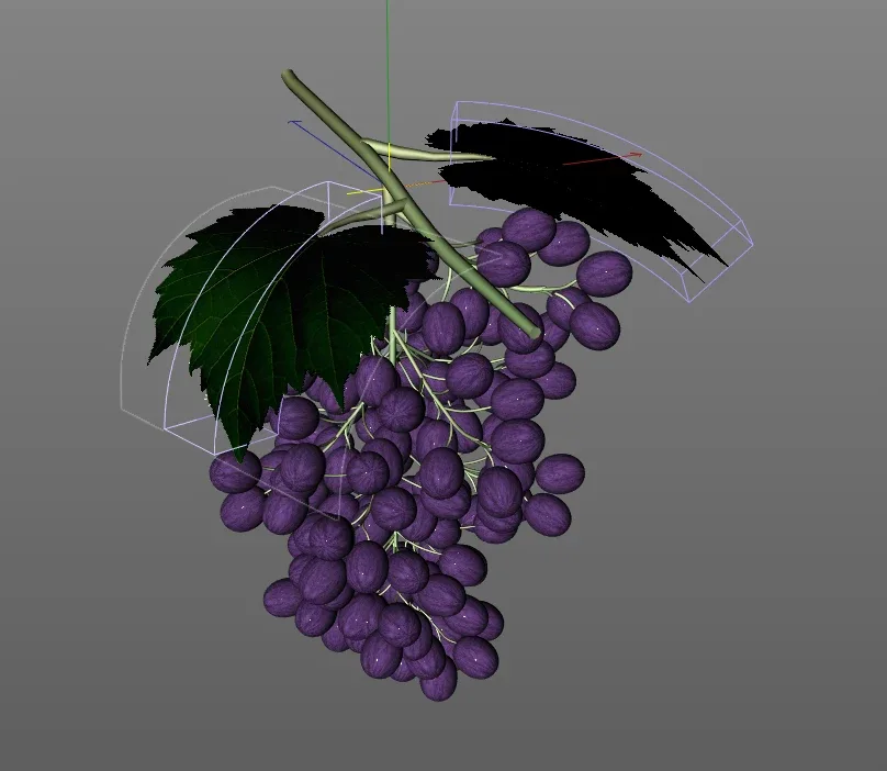 Grapes 3d model