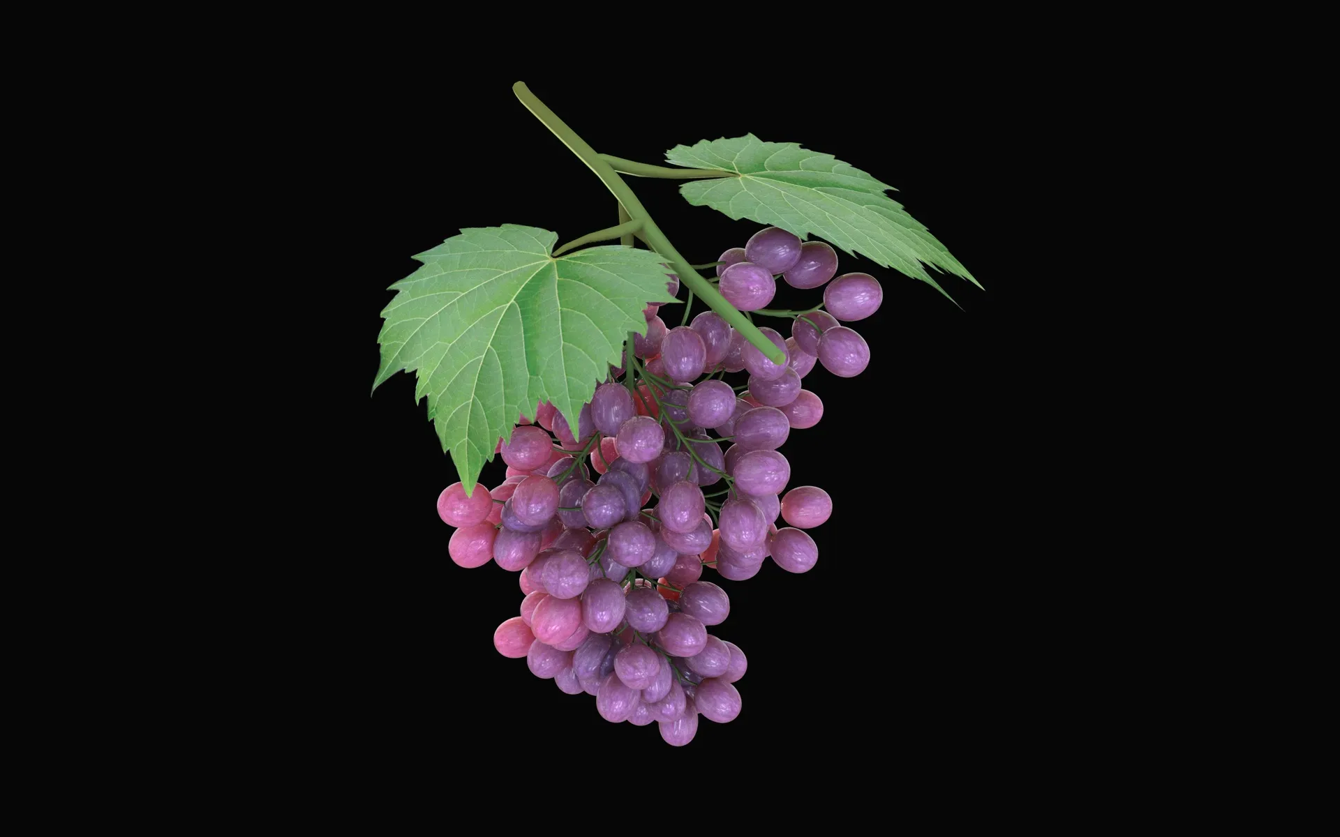 Grapes 3d model