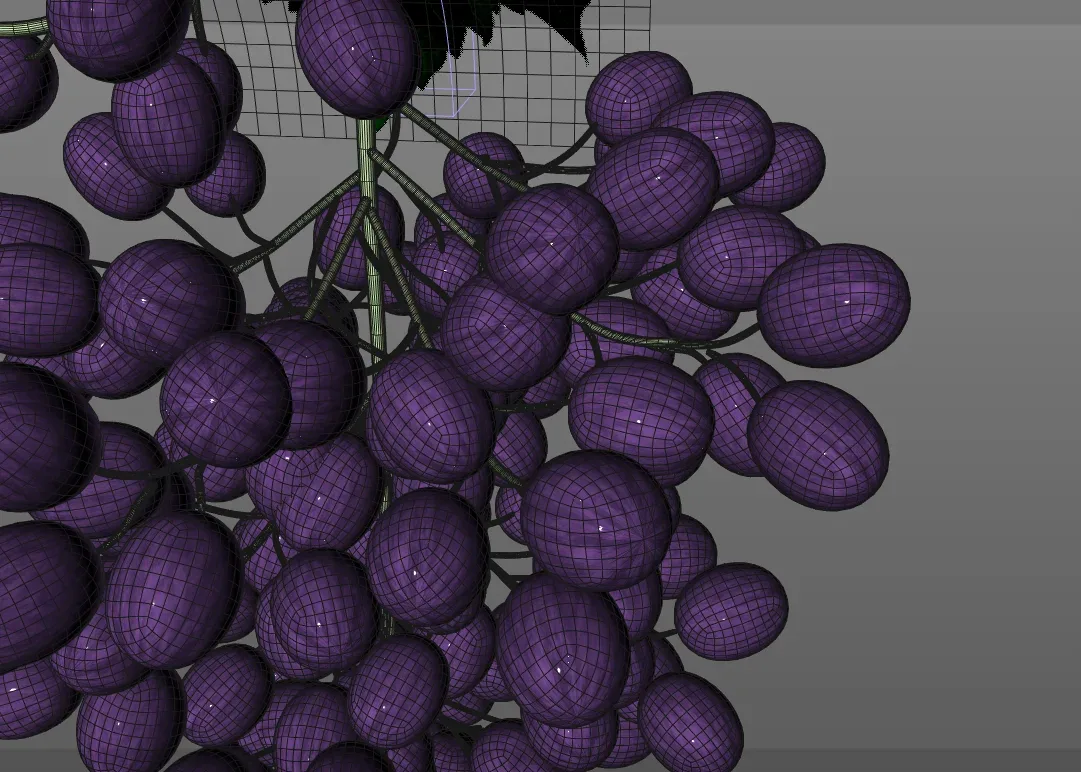 Grapes 3d model