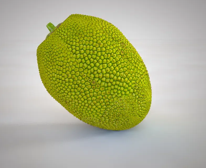 Jack Fruit 3d model