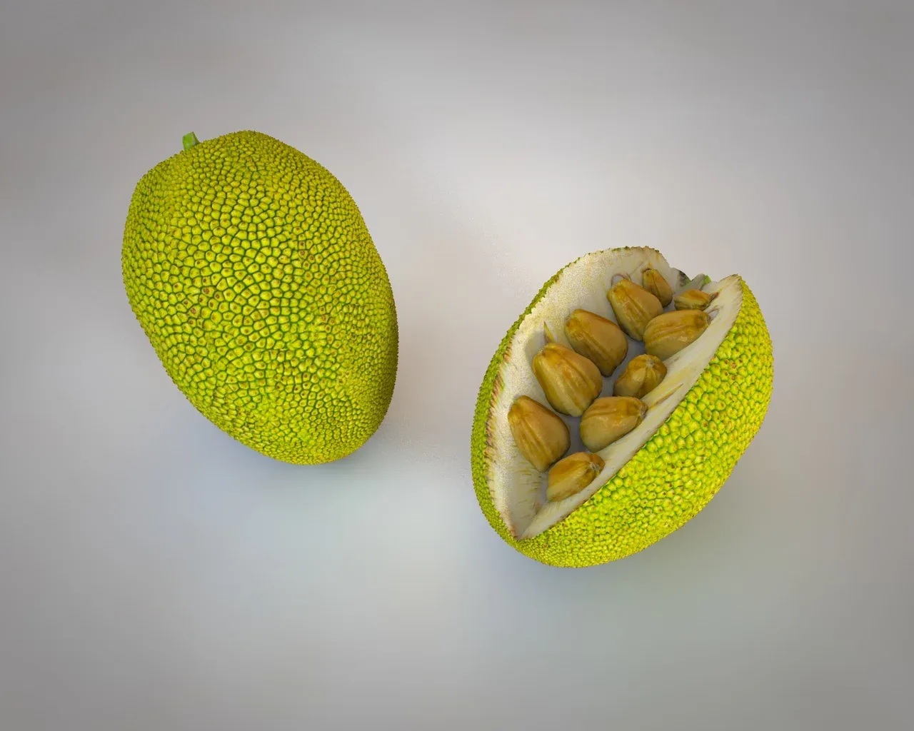 Jack Fruit 3d model