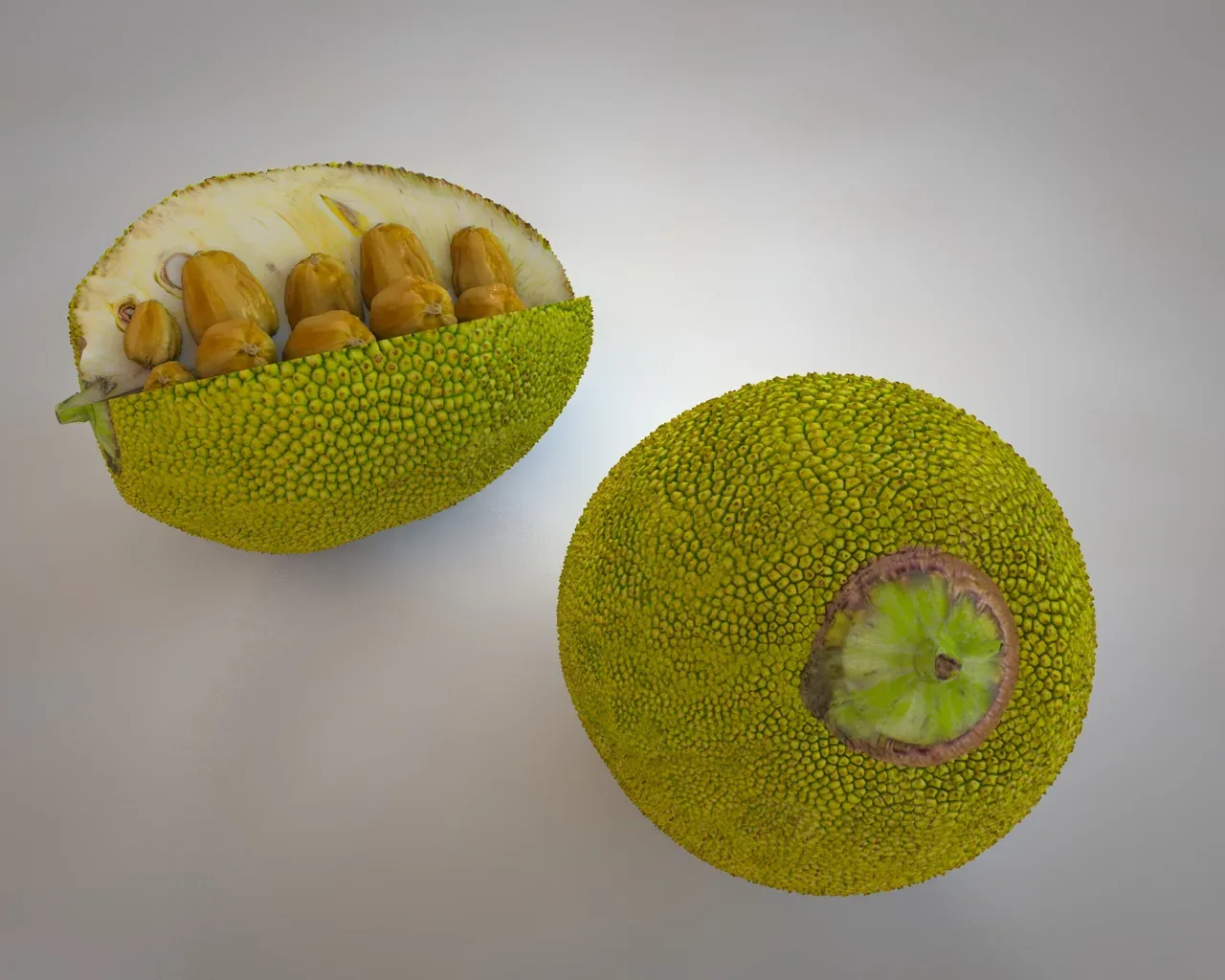 Jack Fruit 3d model