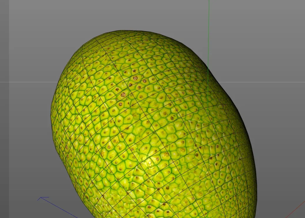 Jack Fruit 3d model