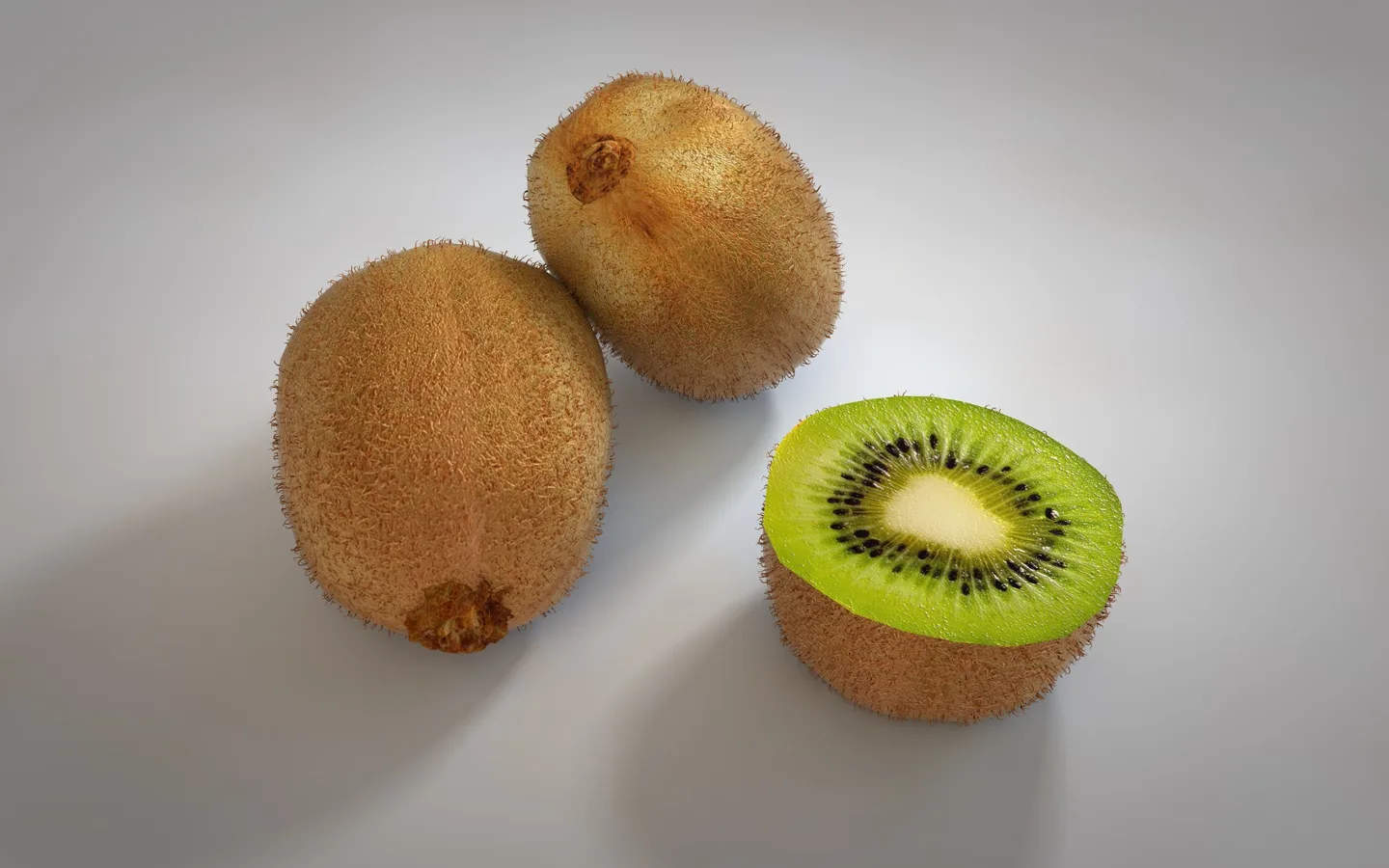 Kiwi 3d model