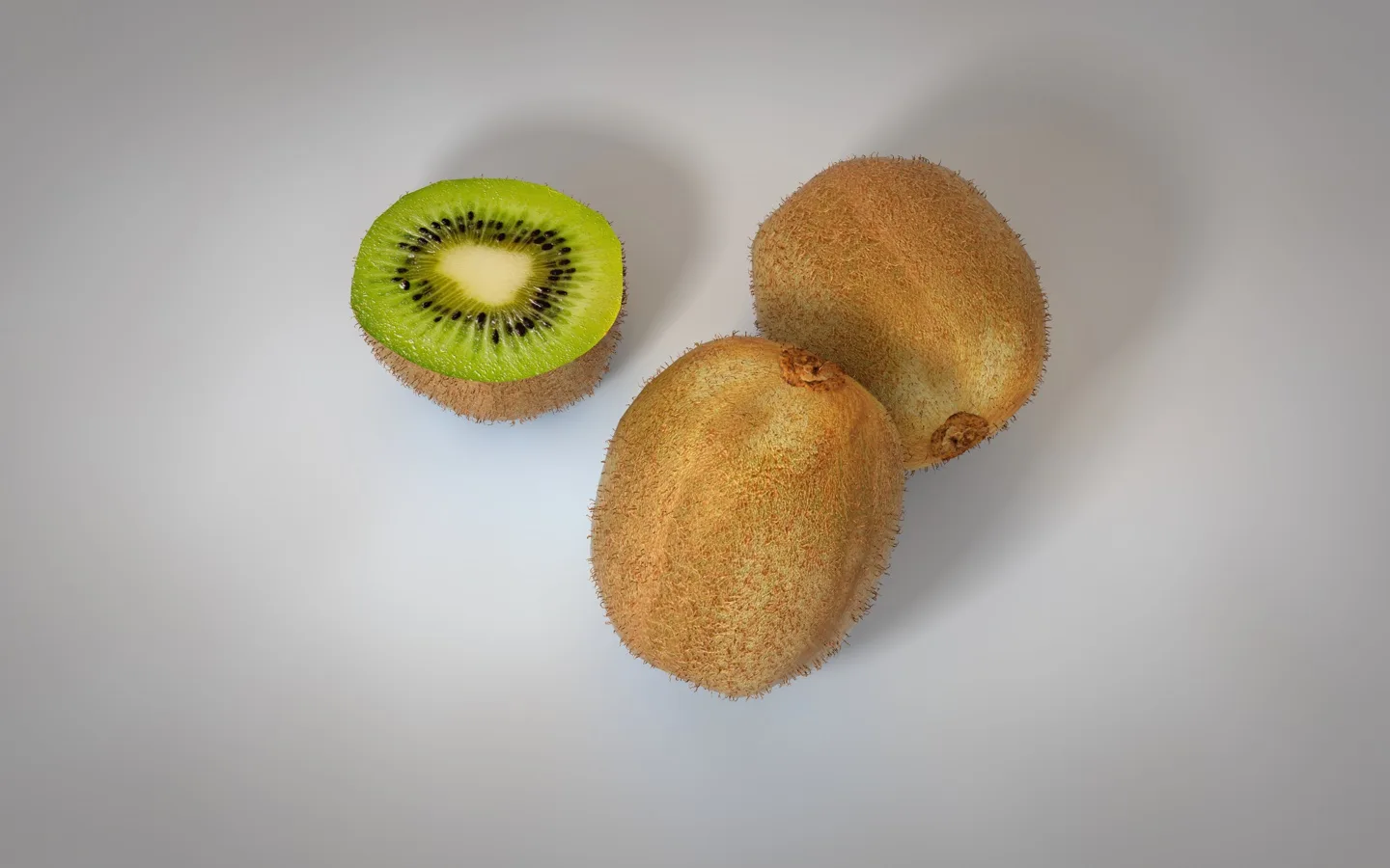 Kiwi 3d model