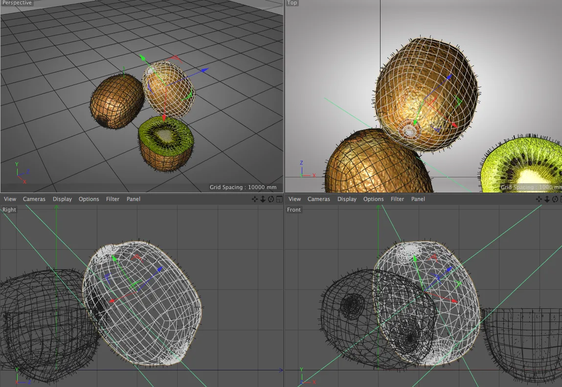 Kiwi 3d model