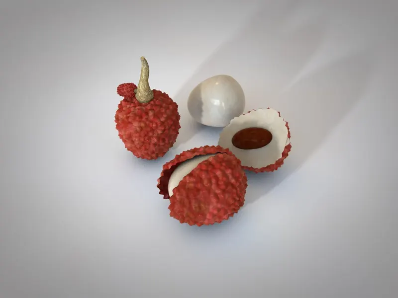 lychee 3d model