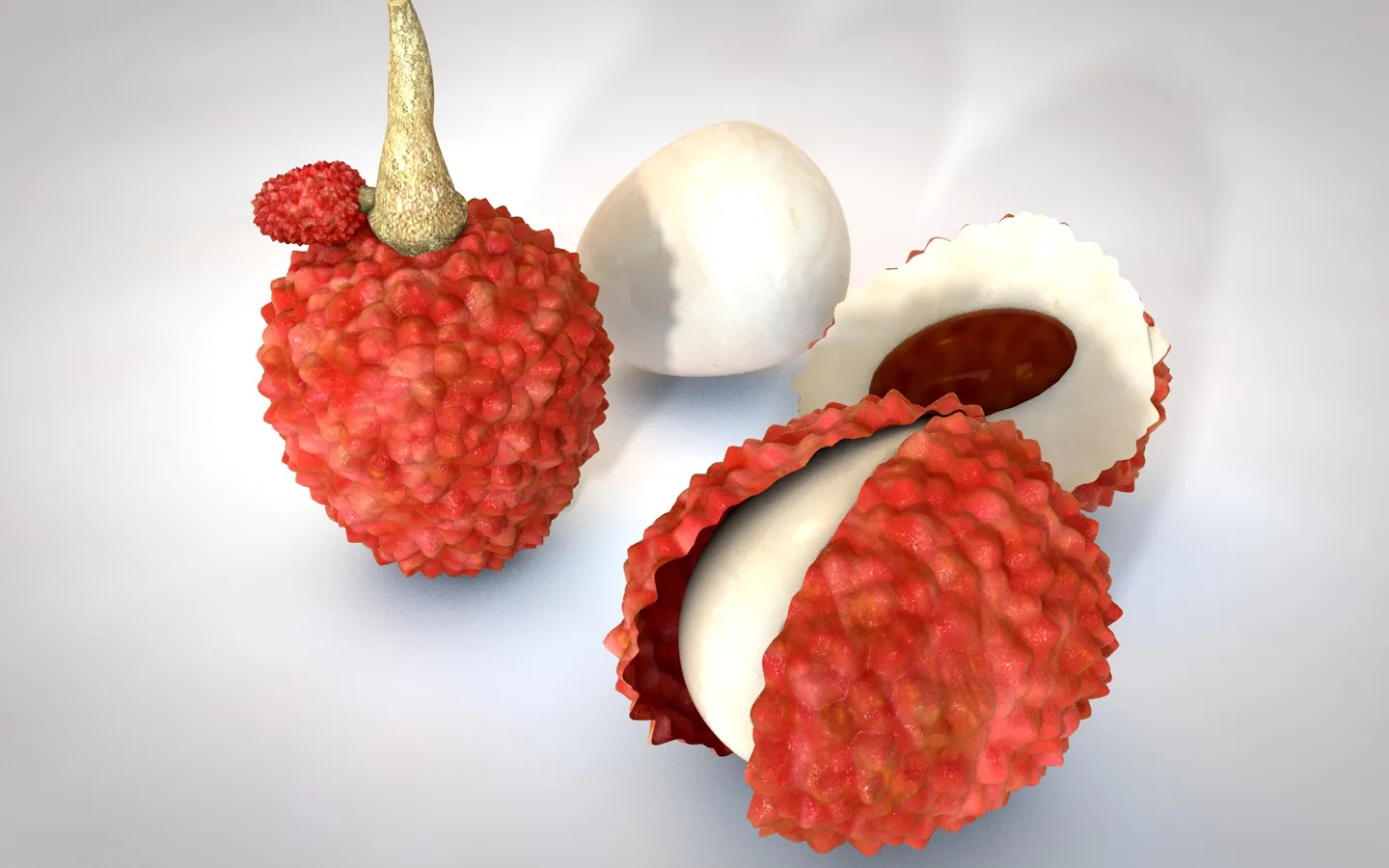 lychee 3d model