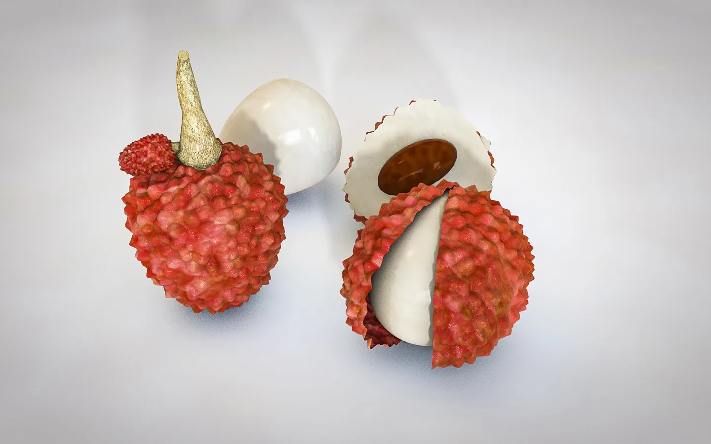 lychee 3d model