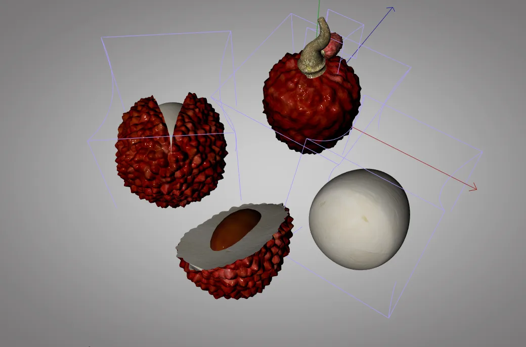 lychee 3d model