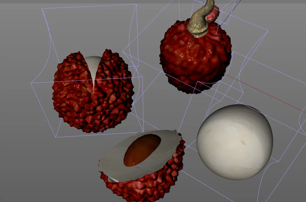 lychee 3d model