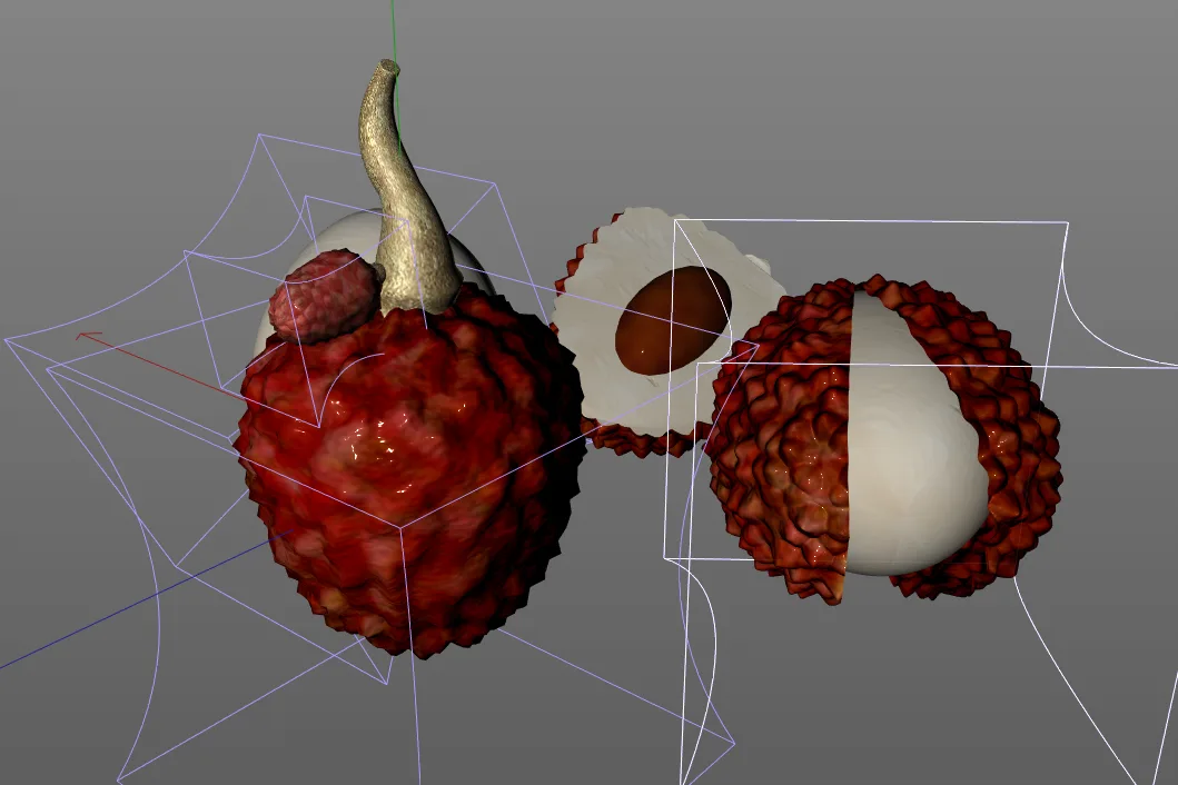 lychee 3d model