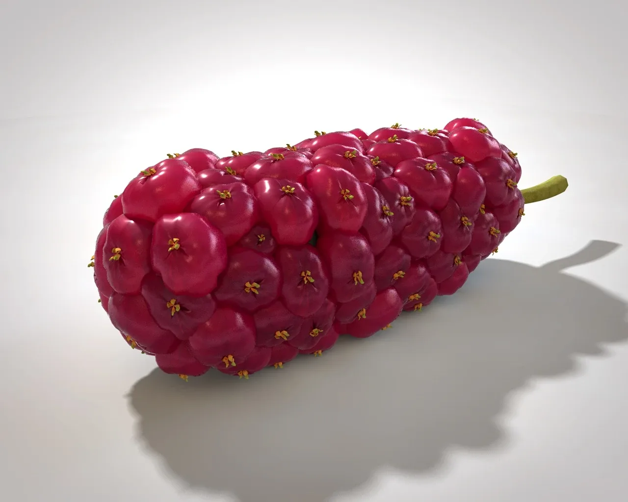 Mulberry 3d model