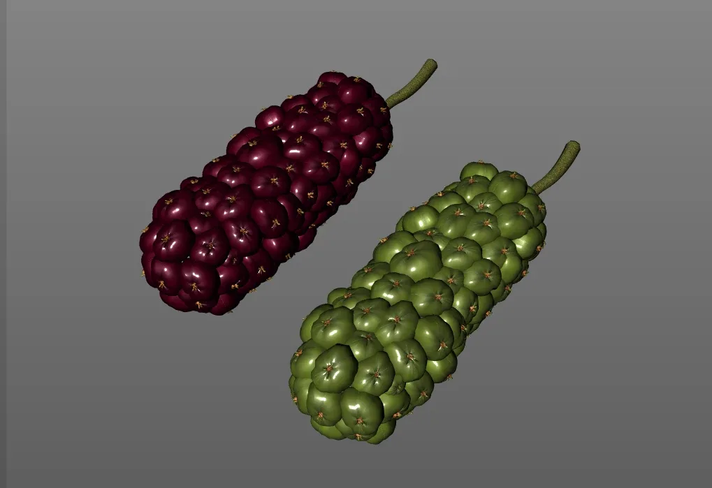 Mulberry 3d model