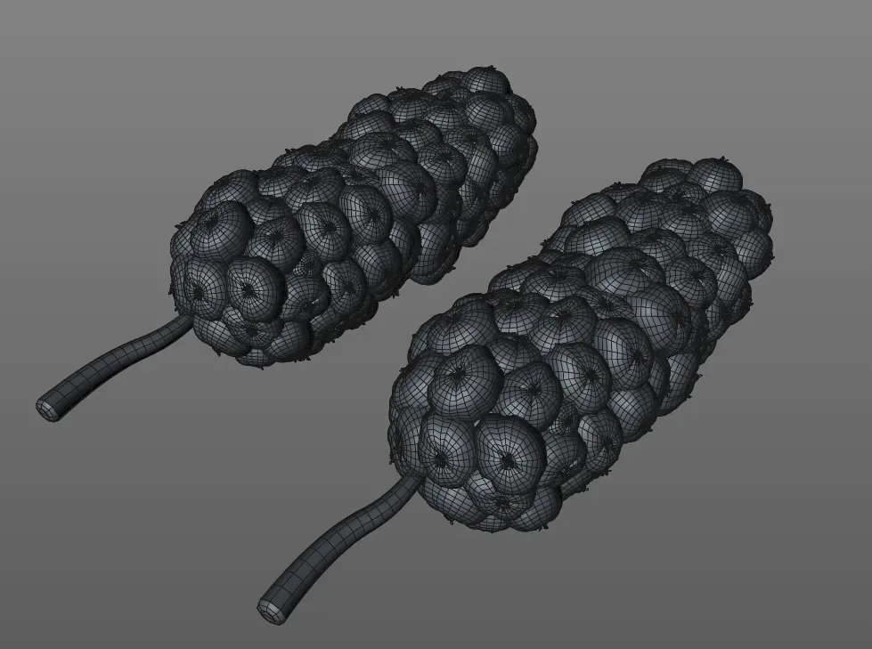 Mulberry 3d model