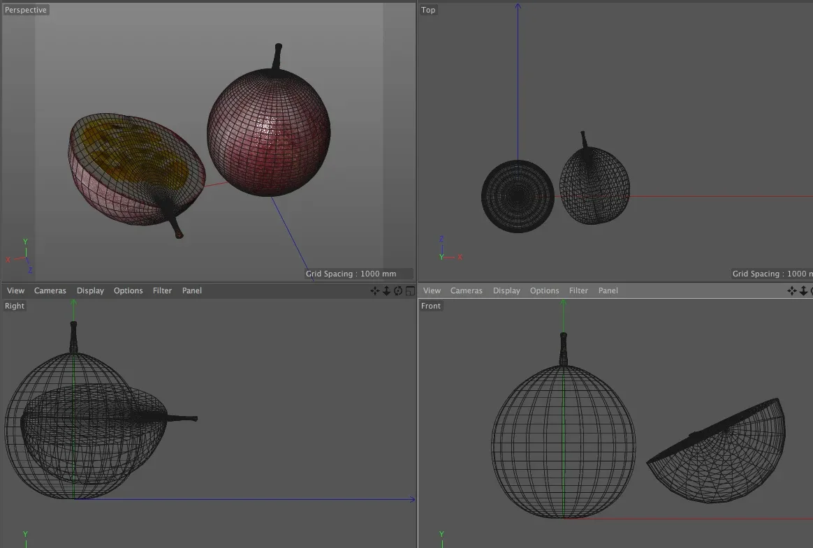 Passion fruit 3d model