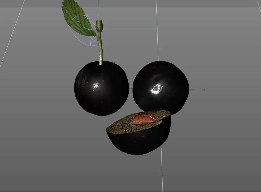 Plum 3d model