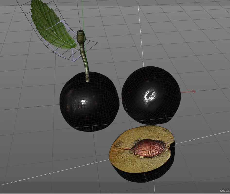 Plum 3d model