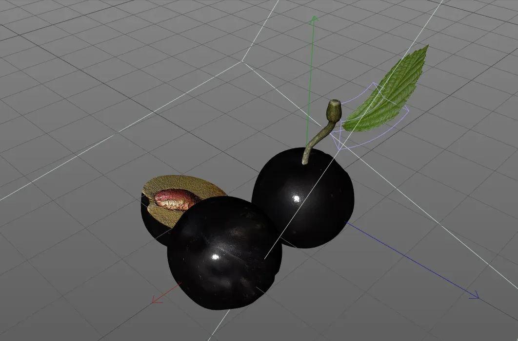 Plum 3d model
