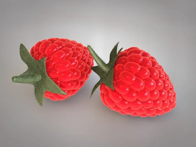 Raspberry 3d model