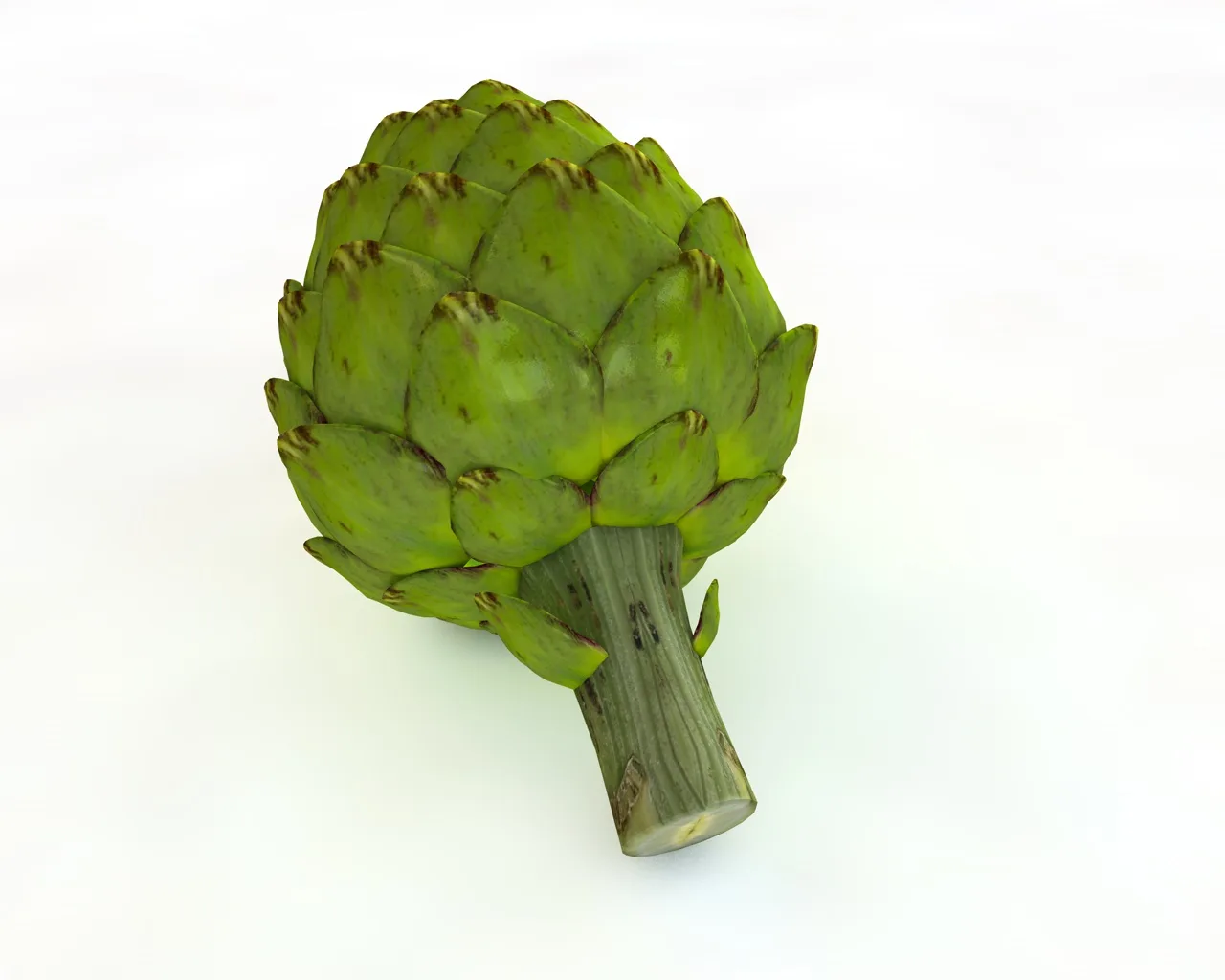 Artichoke 3d model