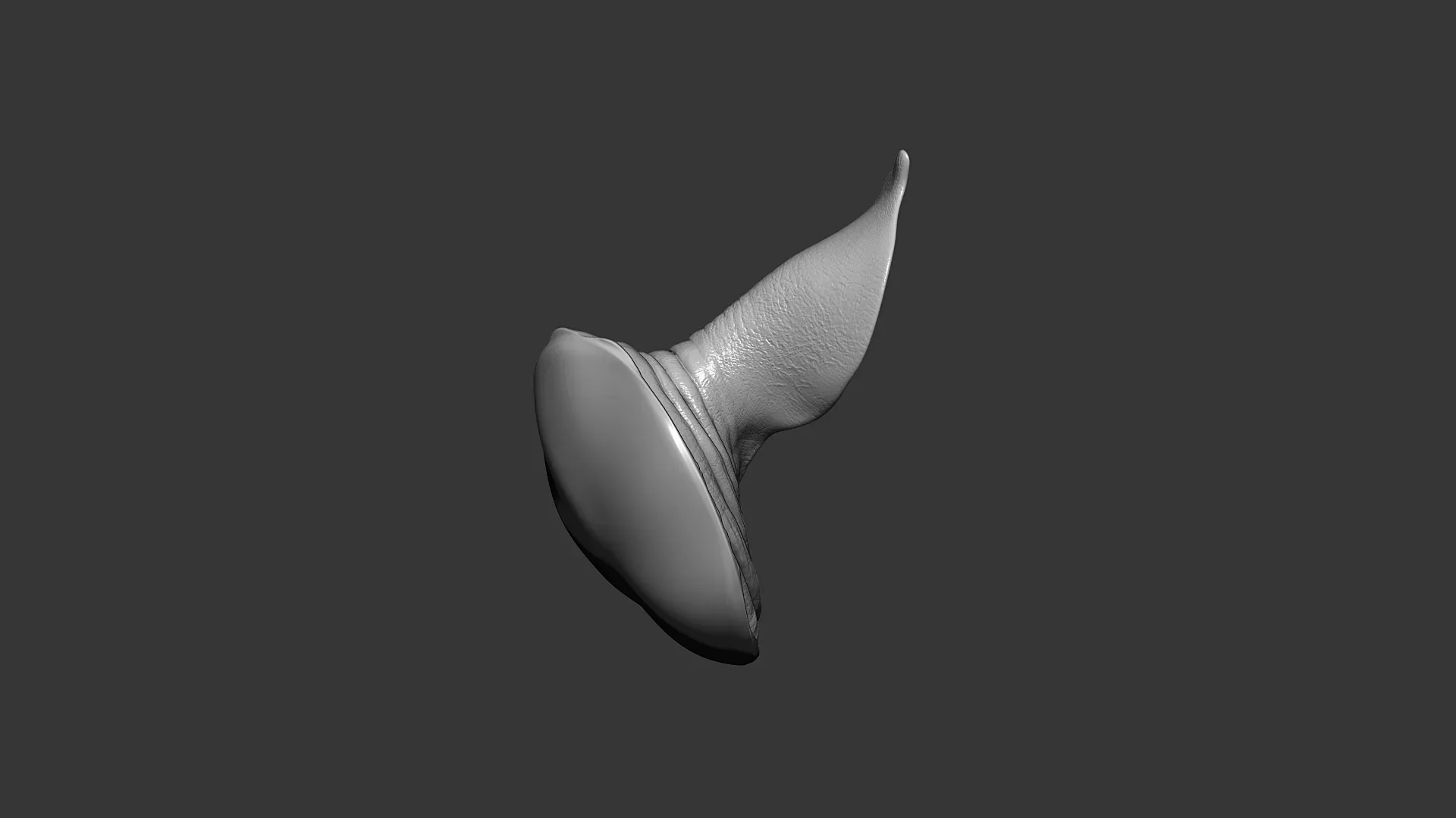 Rhino Ear Highpoly Sculpt