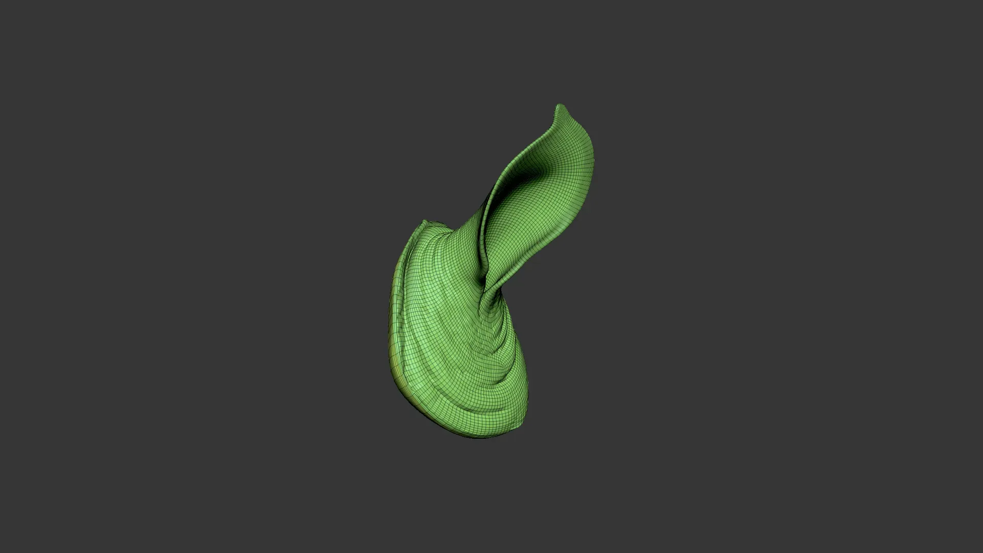 Rhino Ear Highpoly Sculpt