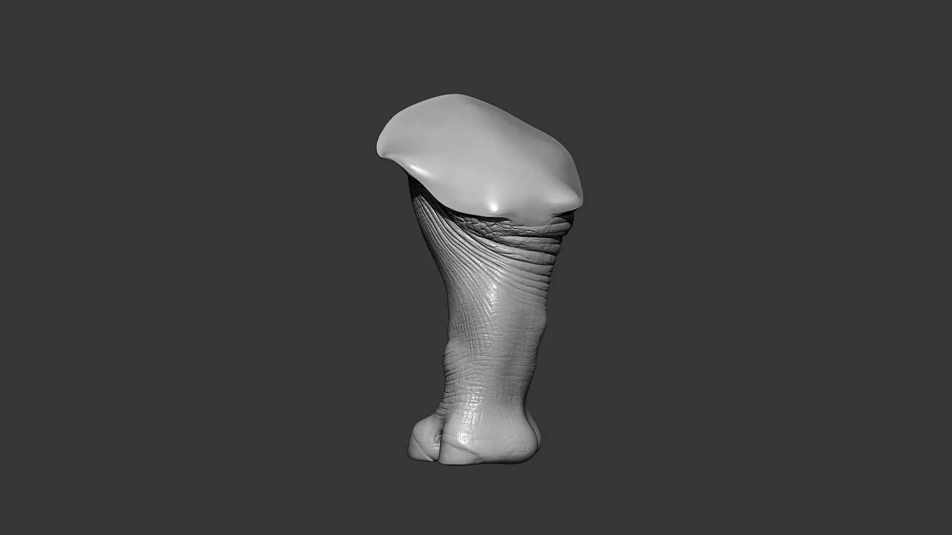 Rhino Front Leg Highpoly Sculpt