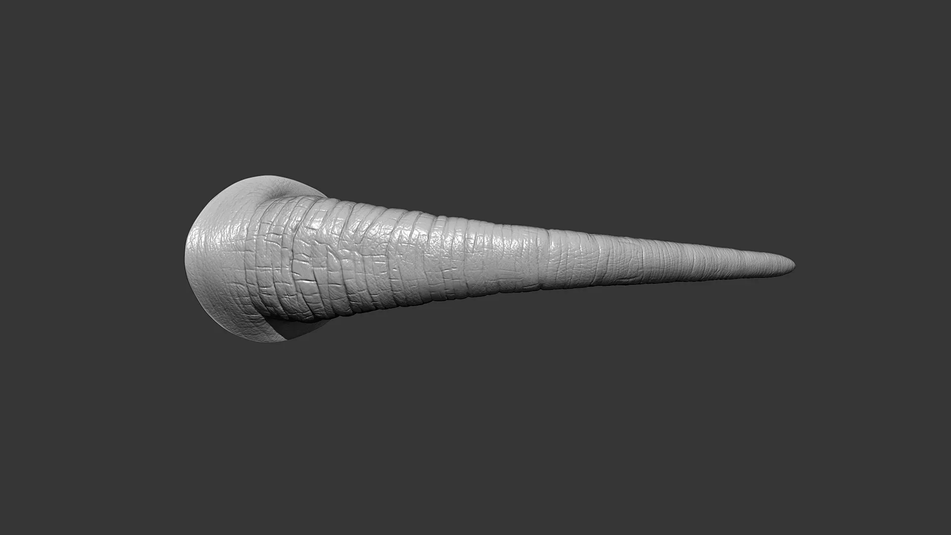 Rhino Tail Highpoly Sculpt