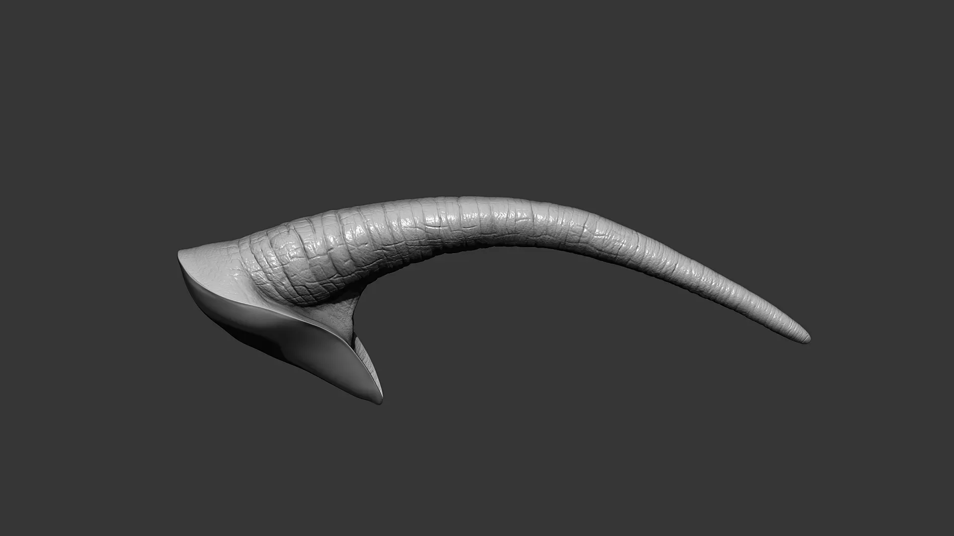 Rhino Tail Highpoly Sculpt