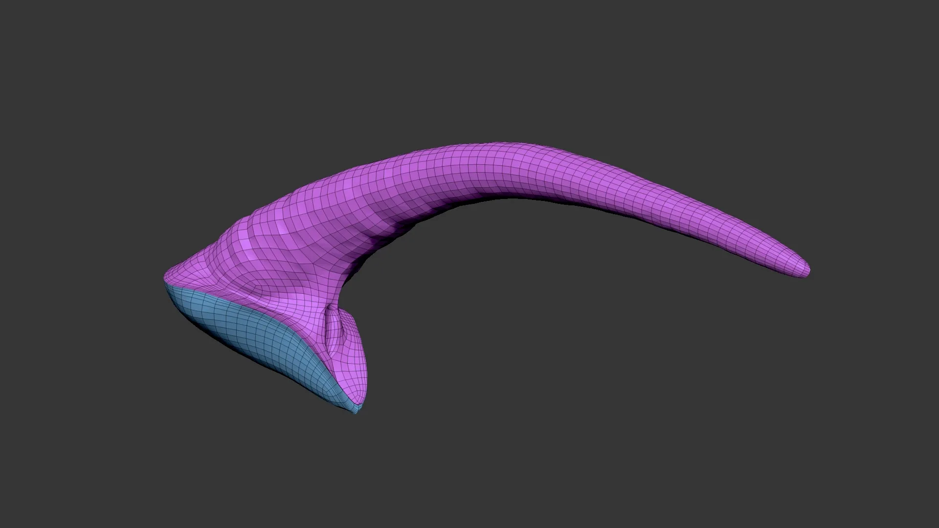 Rhino Tail Highpoly Sculpt