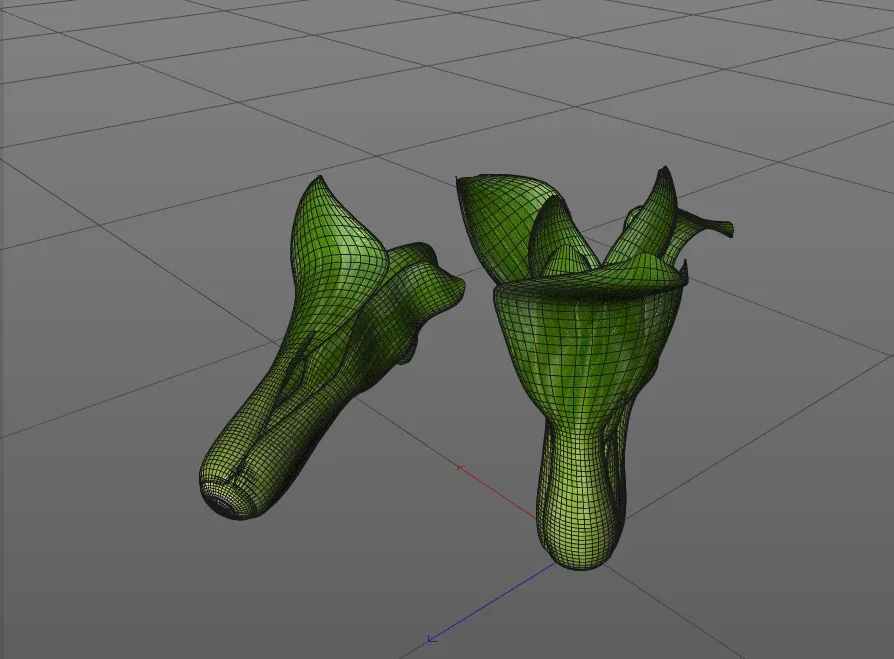 Bok choy 3d model