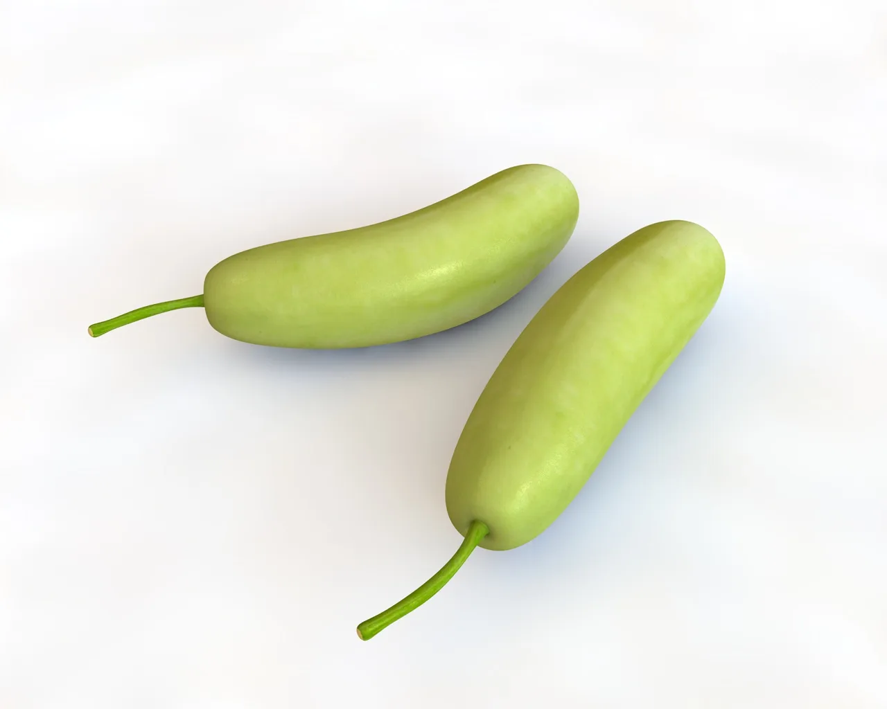 Bottle Gourd 3d model