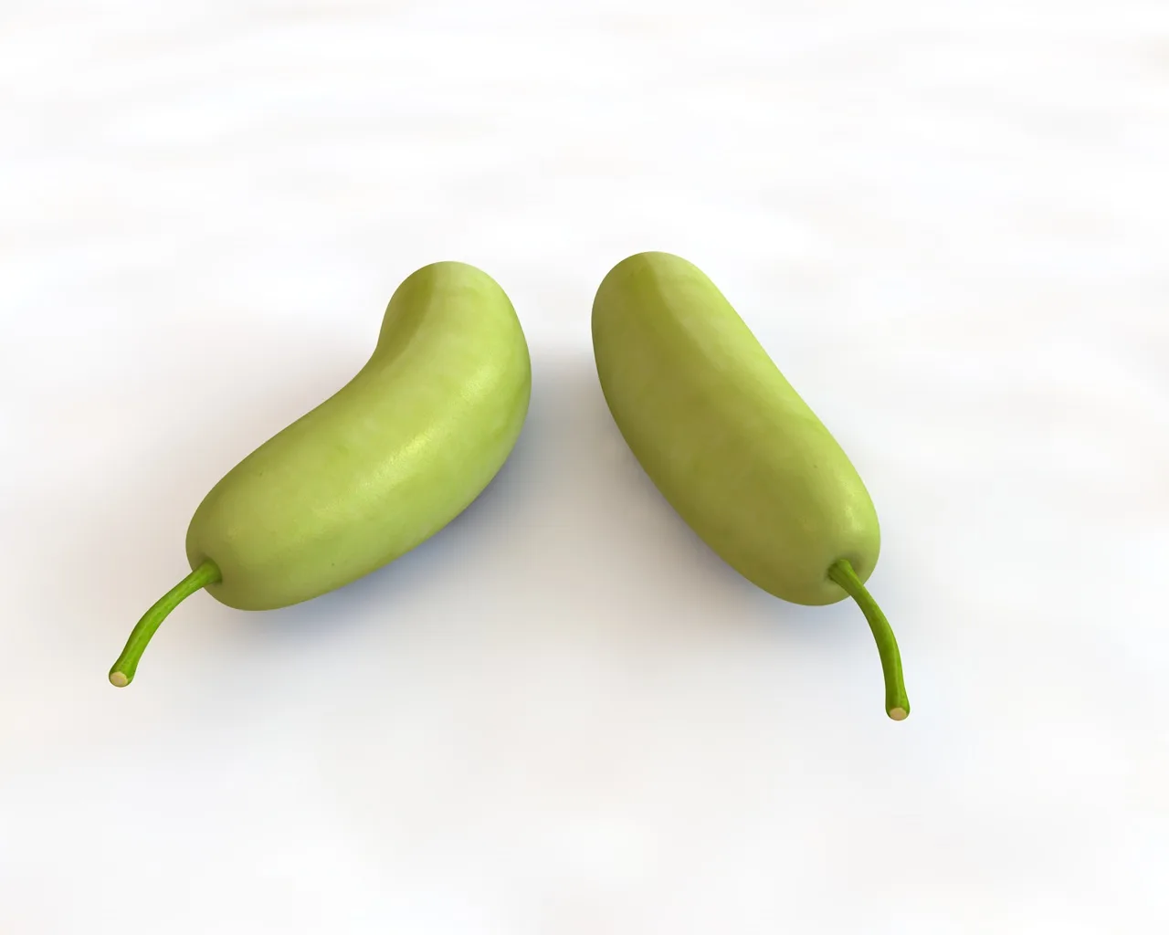 Bottle Gourd 3d model