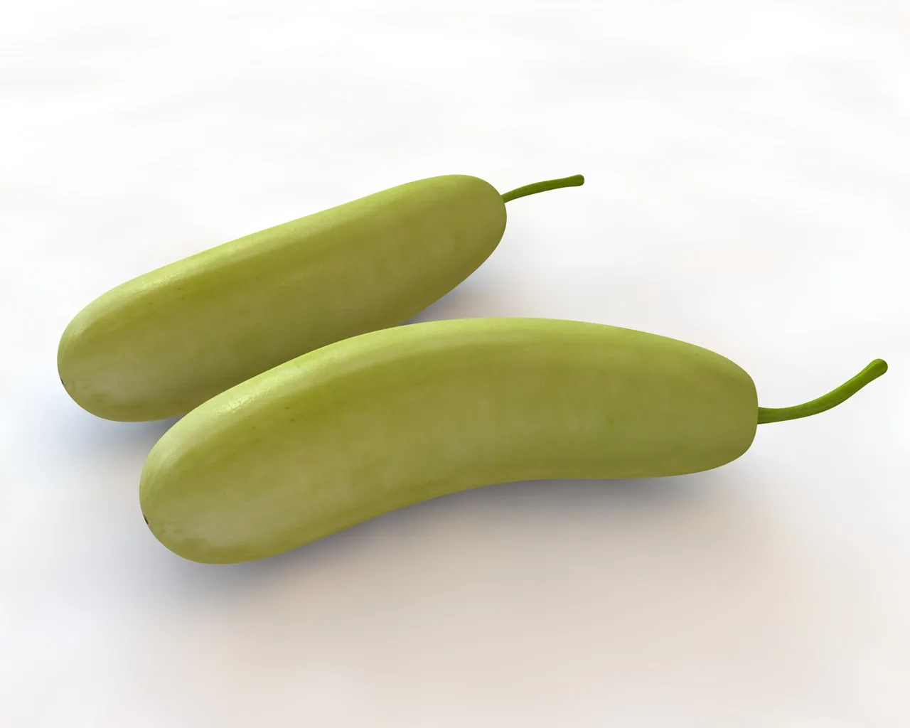 Bottle Gourd 3d model