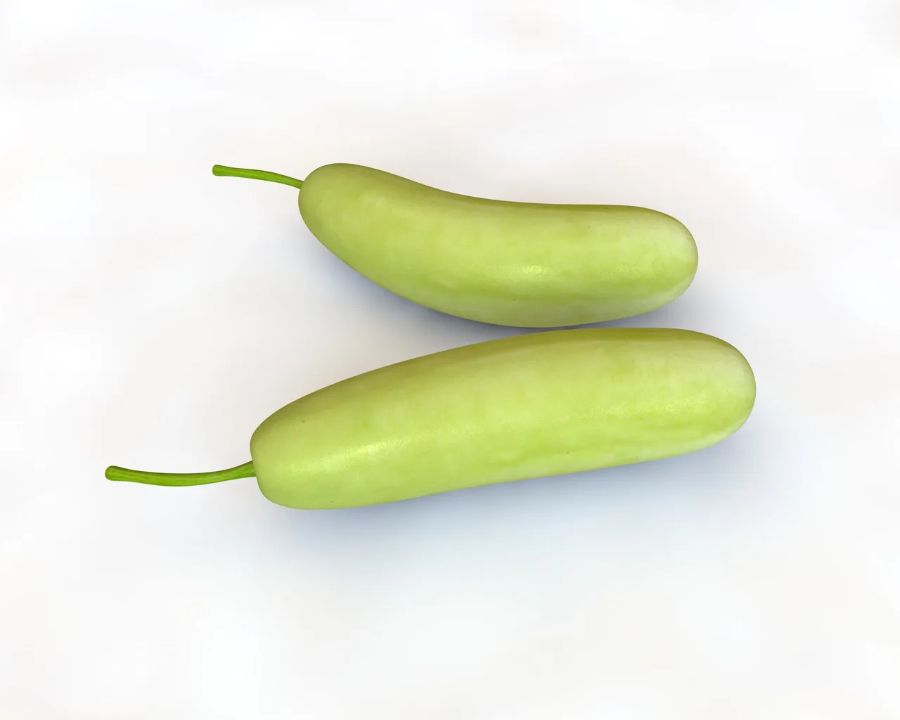 Bottle Gourd 3d model