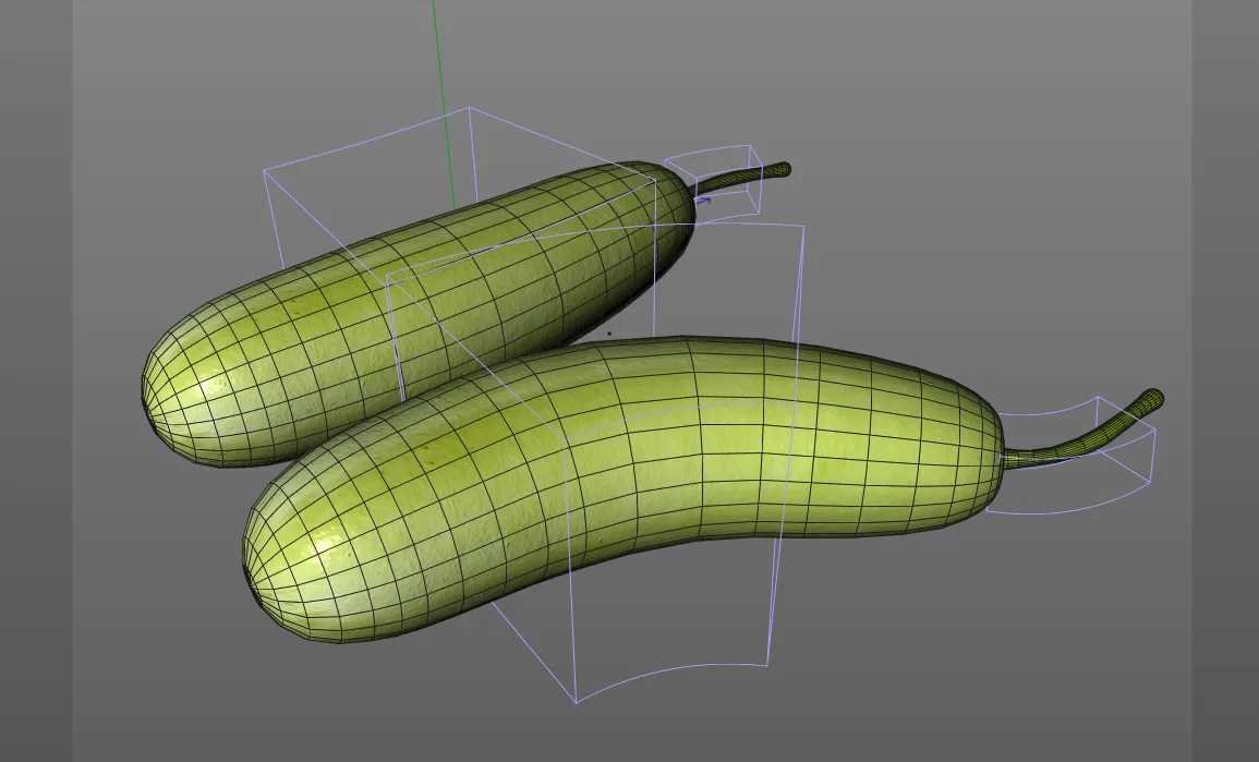 Bottle Gourd 3d model