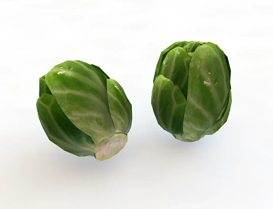 Brussels Sprouts 3d model