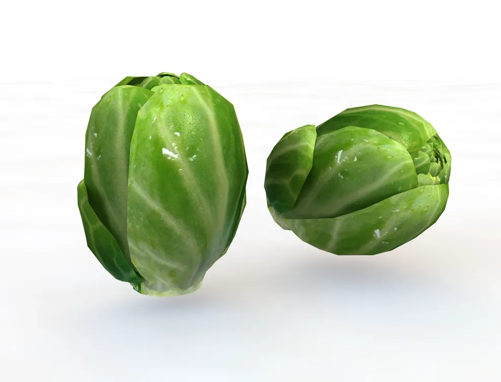 Brussels Sprouts 3d model